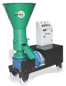 WhatsApp Image 2025-04-12 at 17.01.52 (1)