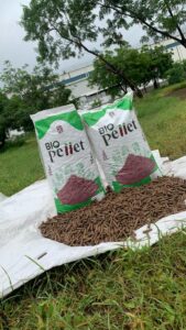 WhatsApp Image 2025-04-12 at 17.01.53